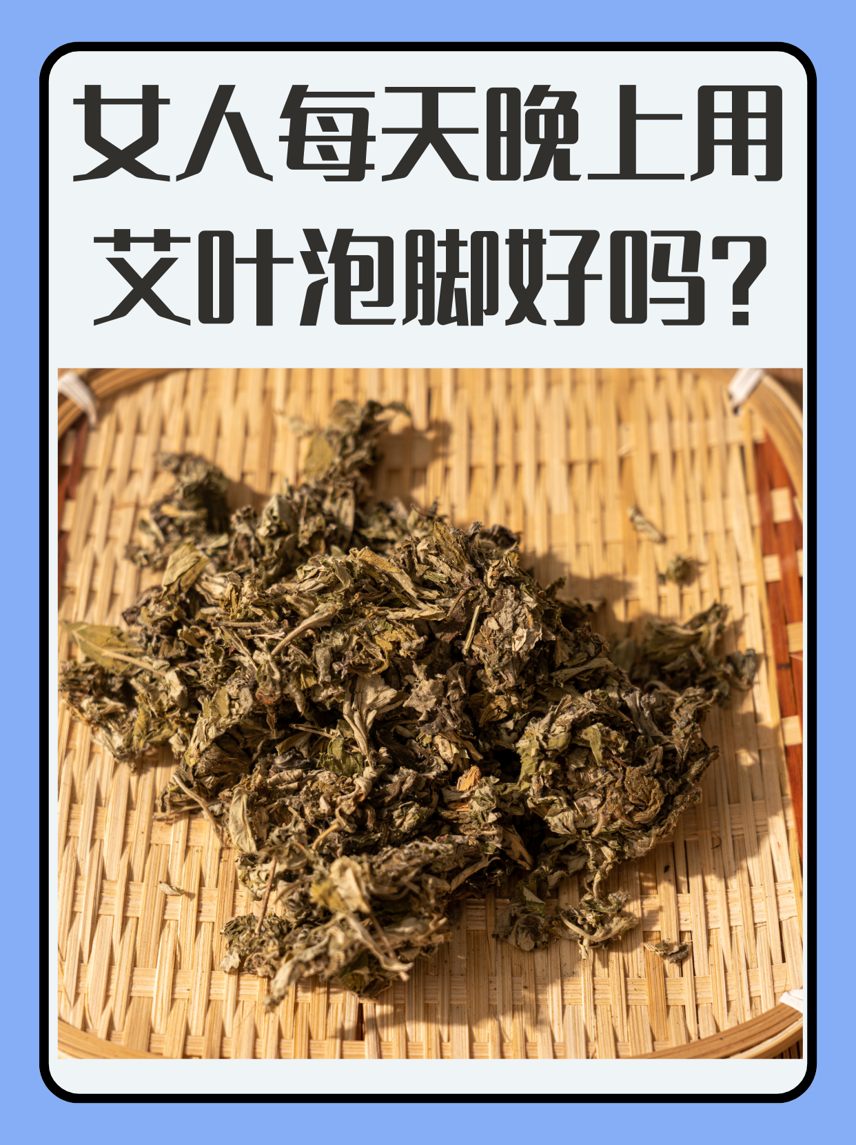 艾草壮阳图片