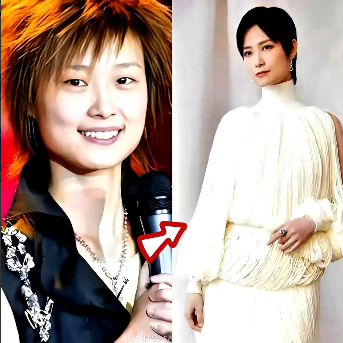 **"李宇春不结婚?关你屁事啊!