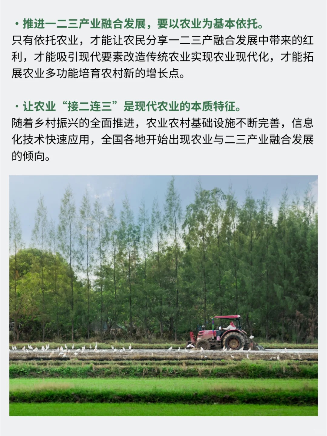 农业农村部：扎实推动乡村游购一体发展