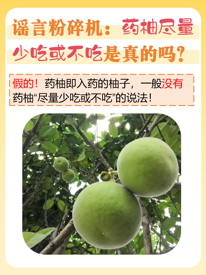 "尽量少吃或不吃"的说 药柚子图片蜜柚药圈图片柚子果药害是什么样的