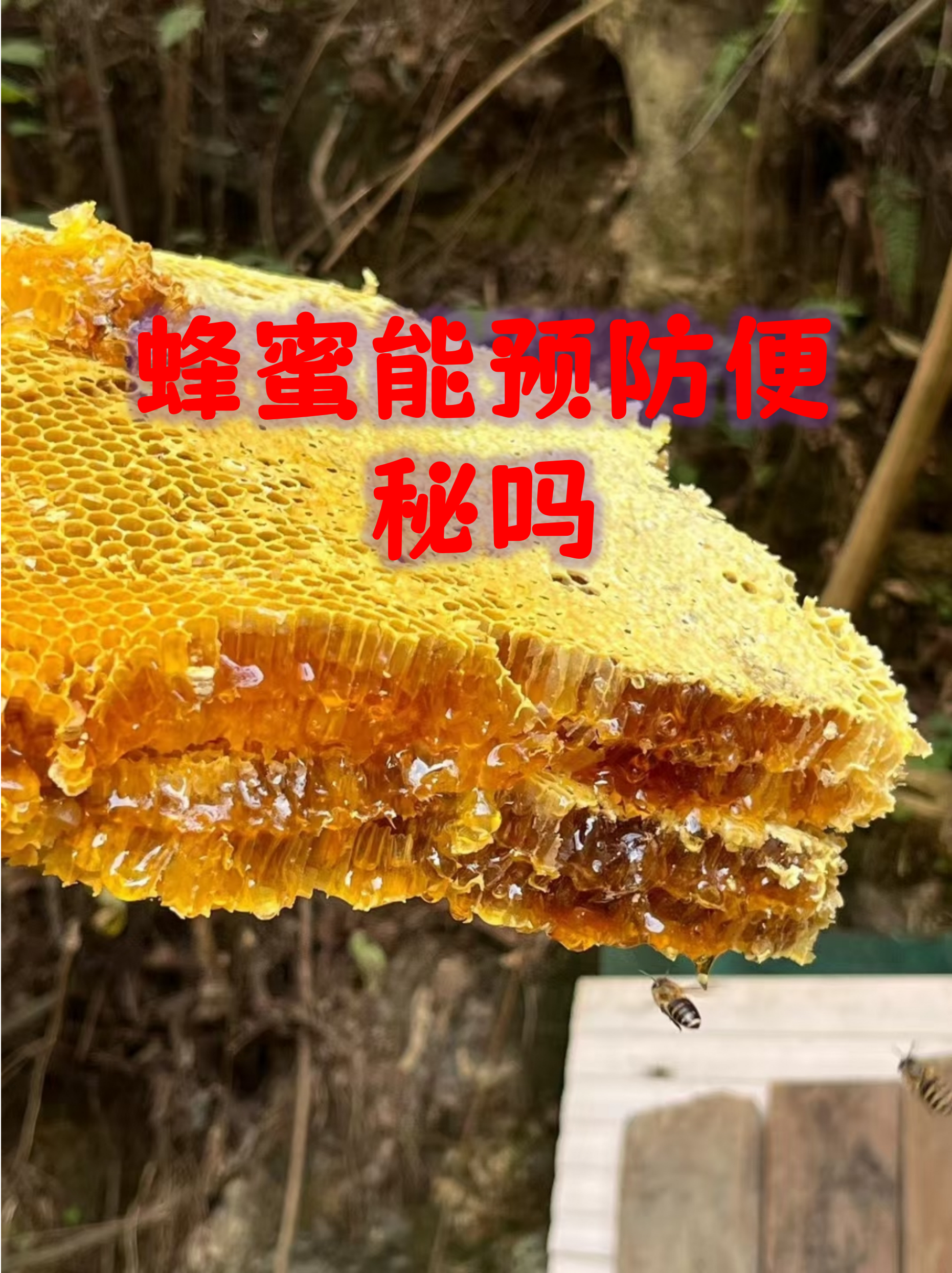 自家产的蜂蜜有保质期吗(自家产的蜂蜜到底能不能吃)