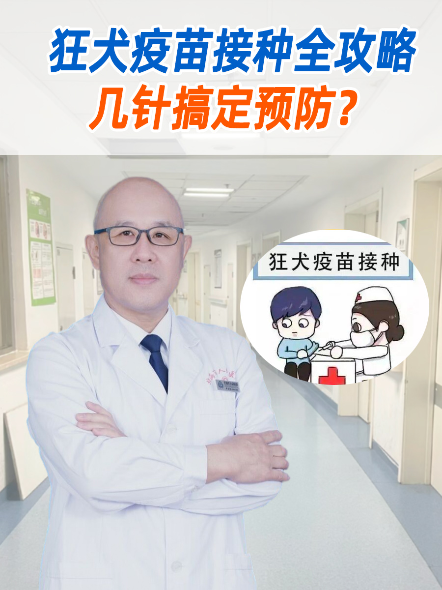 狂犬疫苗接种全攻略:几针搞定预防?