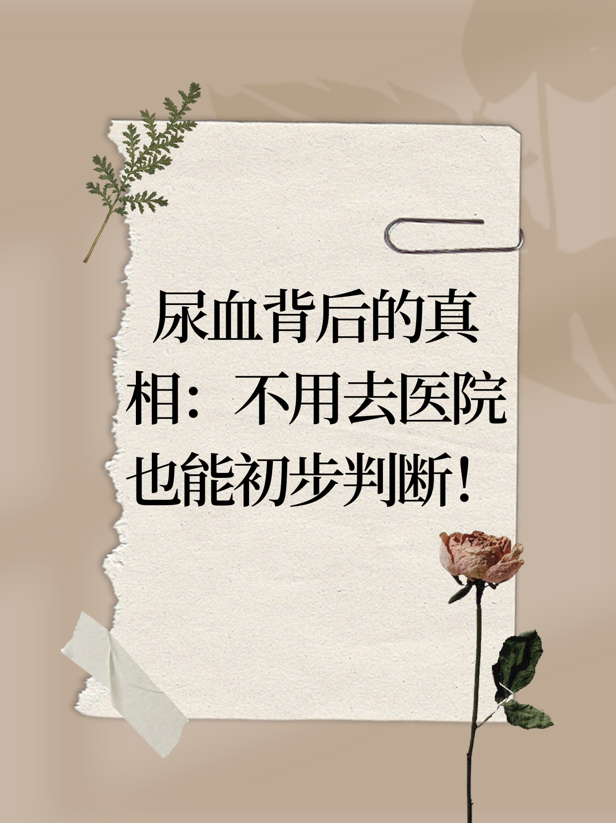 公猫为什么尿血百科在线