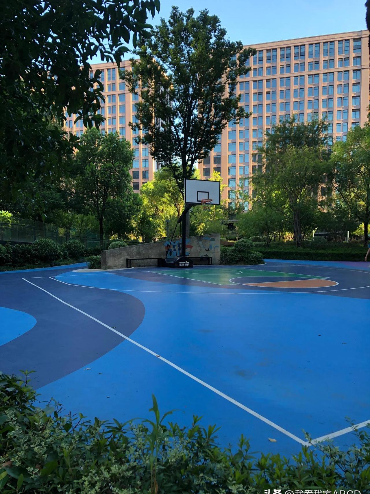 在北京的职场丛林里,有两位年轻人正如两颗闪亮的星