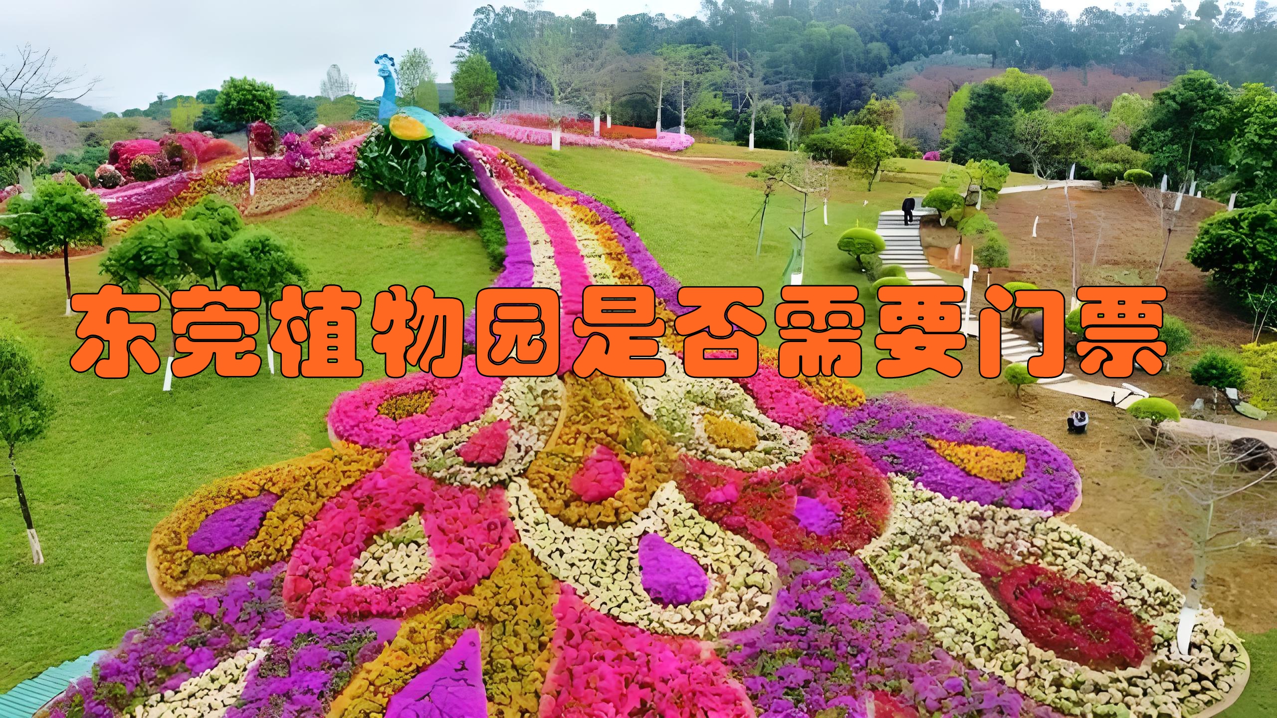 东莞植物园开放图片