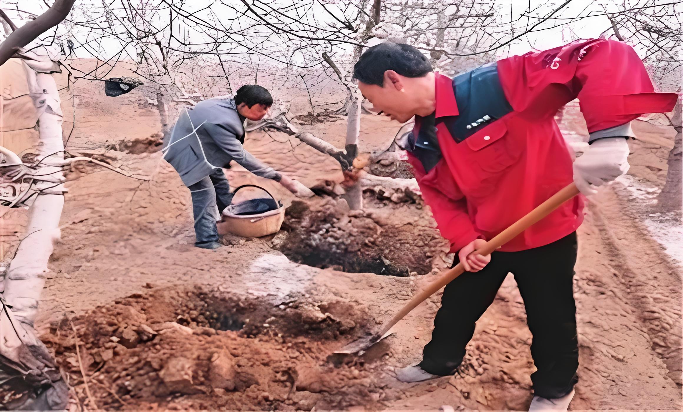 来聊聊一个既接地气又充满智慧的话题