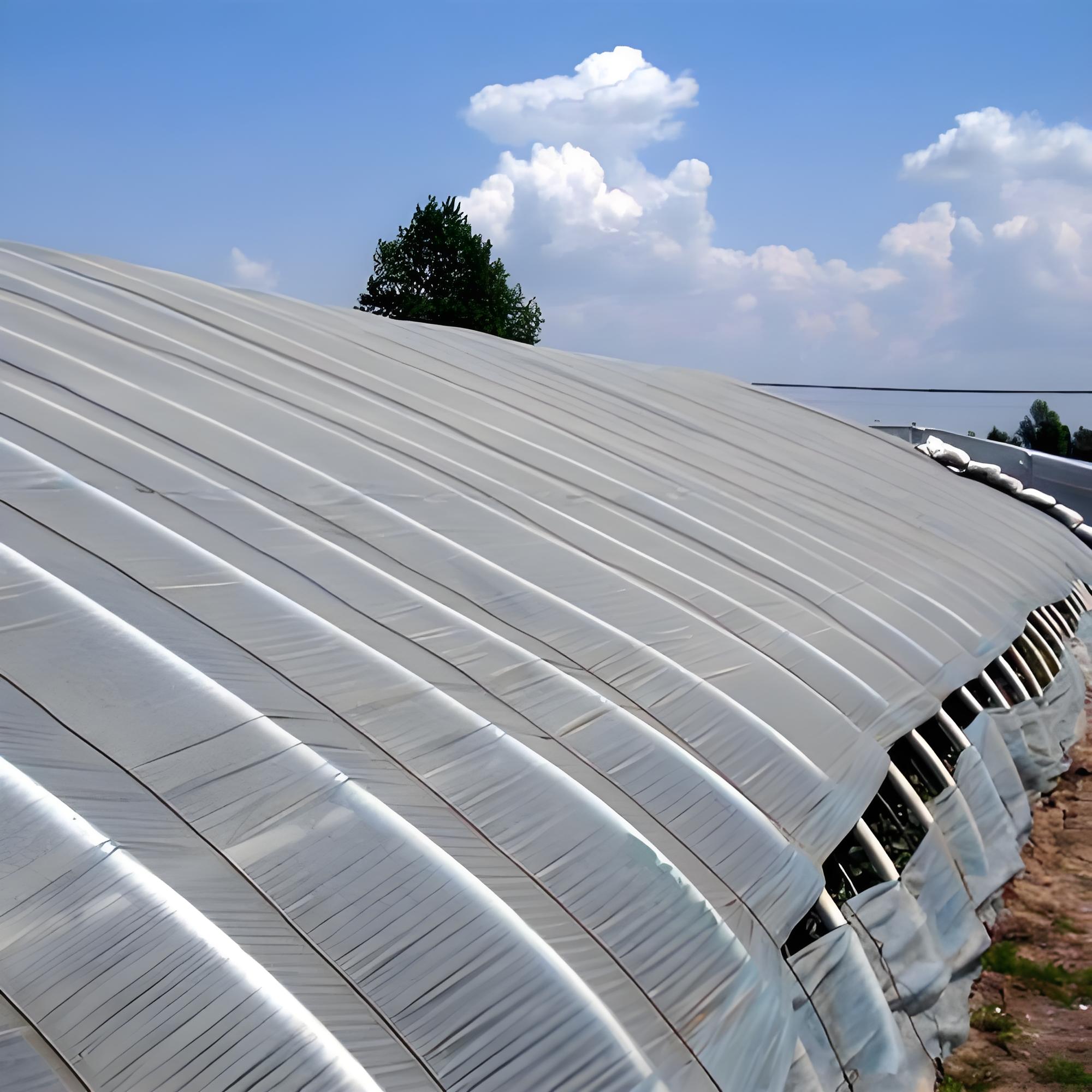 首先,我底匀煌ǚ绾妥匀簧碌奈率 大棚照片大棚压迫感老化温室大棚