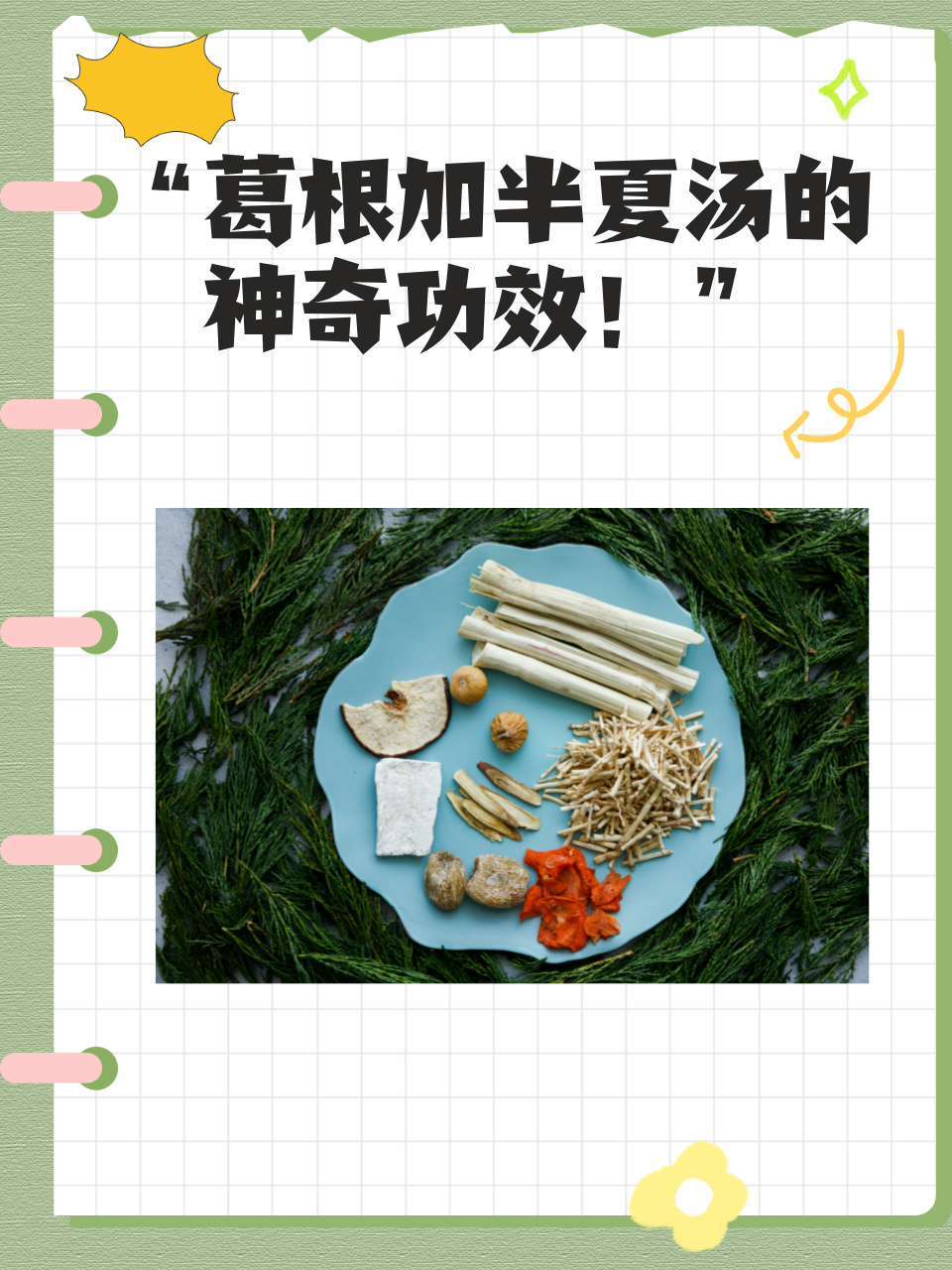 葛根加半夏汤方歌图片