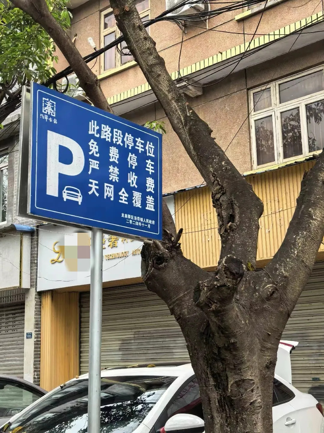我们平时看到更多的是这样:在路边画一个个白框框,可以停车,但需要