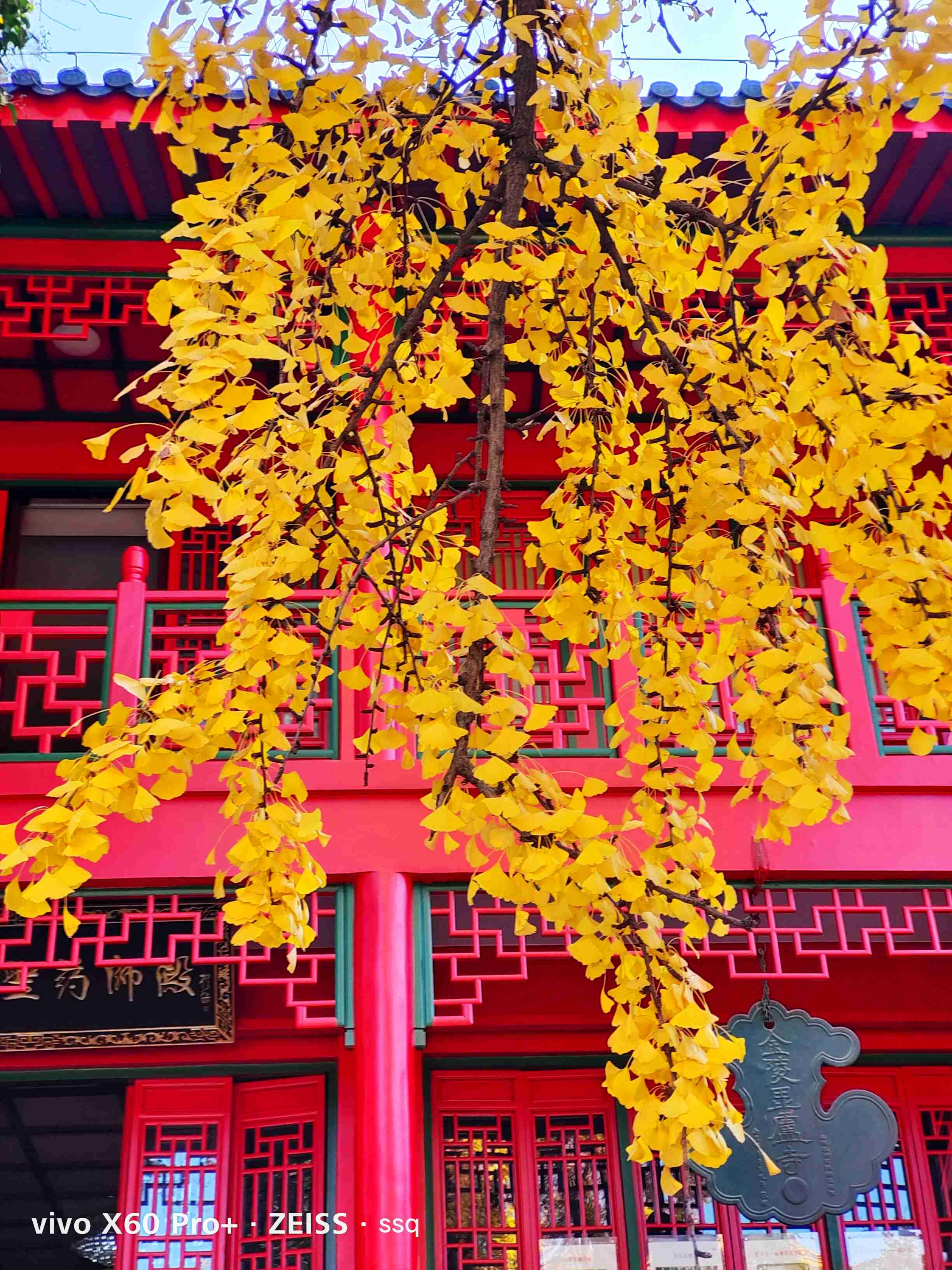 毗卢寺秋吟 古寺禅静宛如一汪深邃的湖水波澜不惊