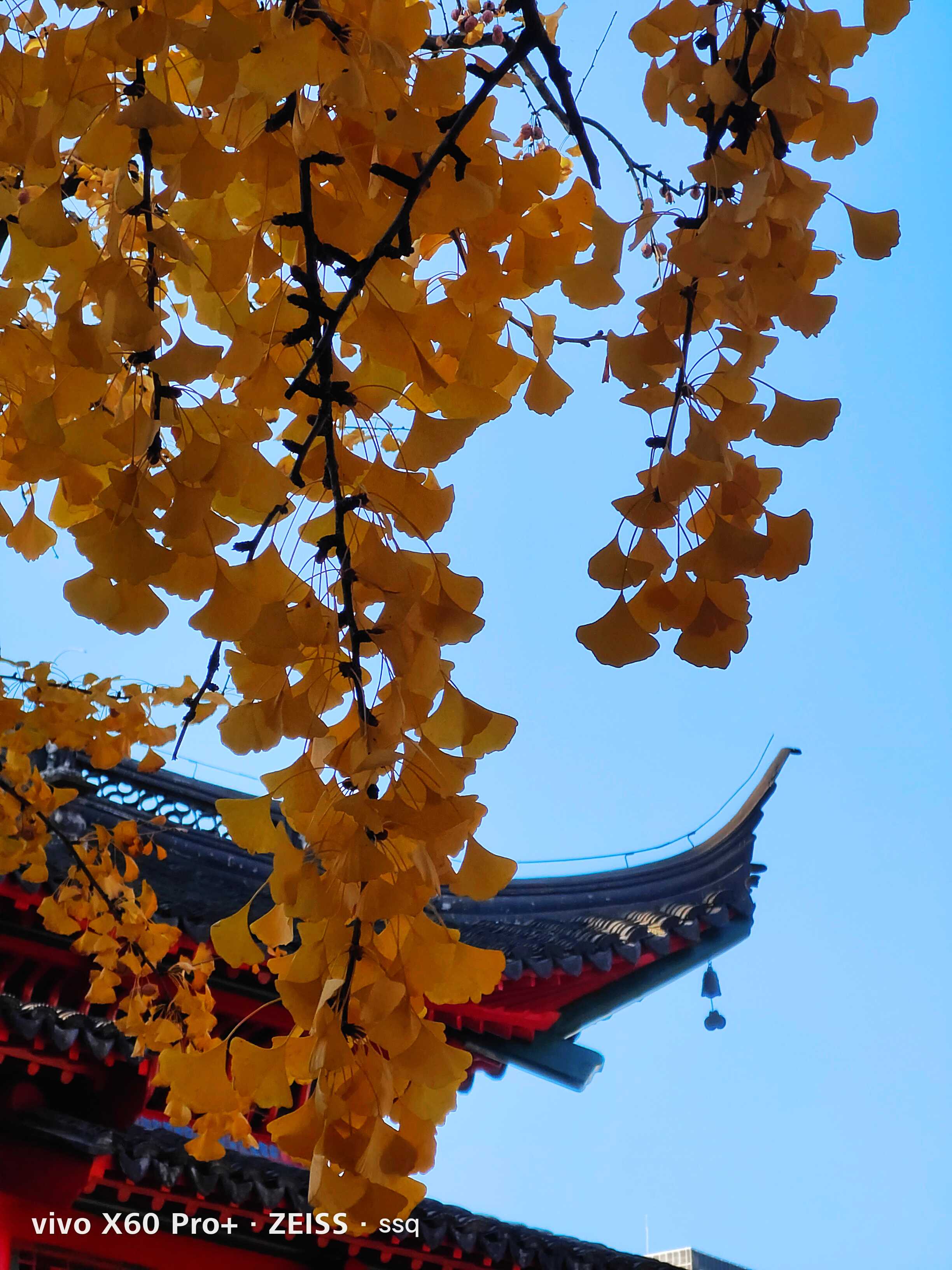 古寺禅静似一泓平静的湖水波澜不惊