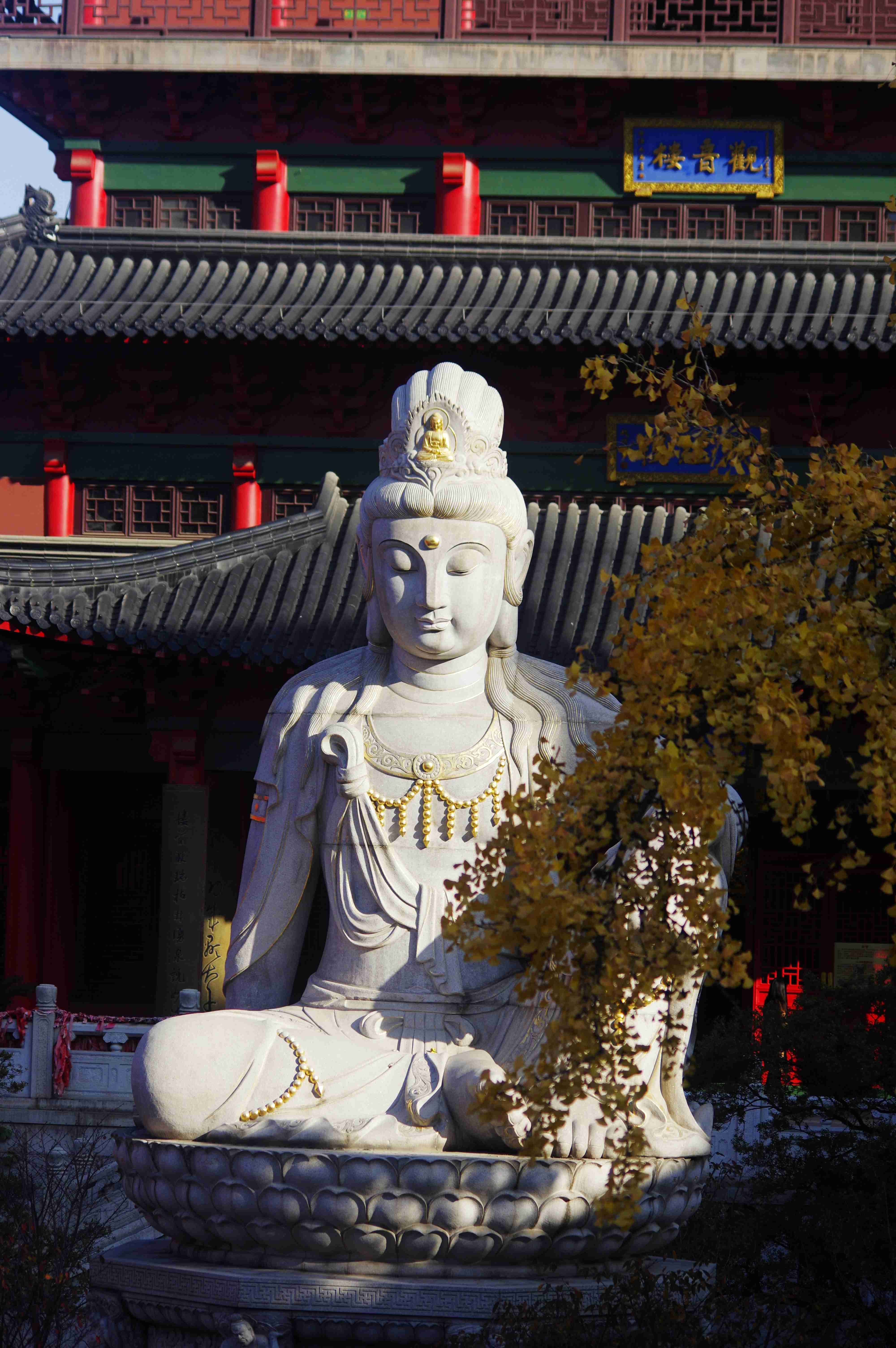 此时的毗卢寺更像是一个梦幻的世界让人沉醉其中不愿醒来