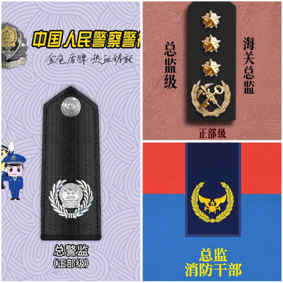  总警监总警监肩章图片总警监肩章图片特写图片总监警衔图片消防副