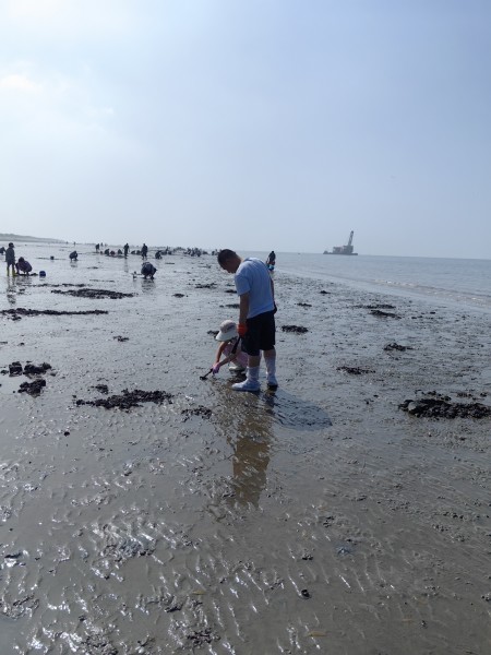 浅水湾浴场:沙滩平缓像地毯,退潮后沙滩上全是小孔洞,往下挖准能逮到