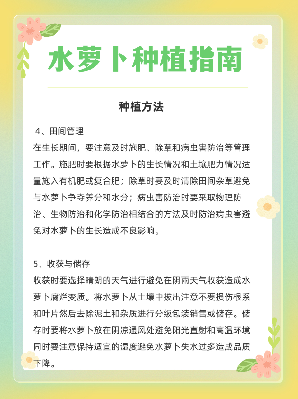 96 南方篇:秋风起,水萝卜种植正当时!