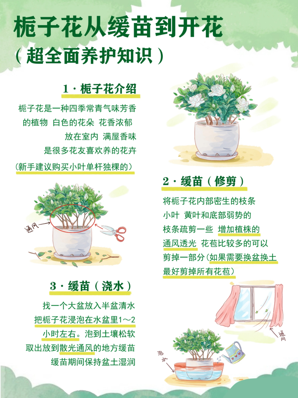 栀子花配土最简单图片