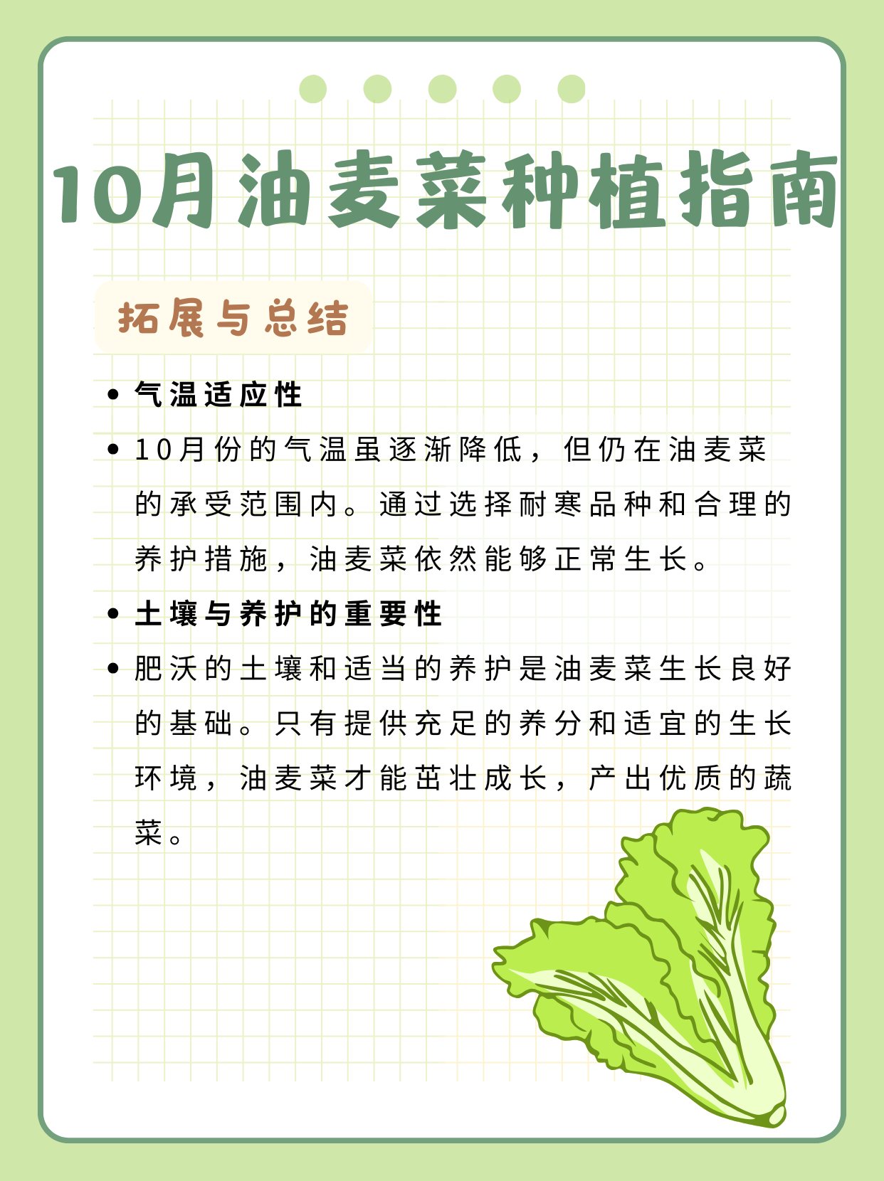 今天就来聊聊这个问题   答案是可以种哦 10 月份是可以种植油麦菜的