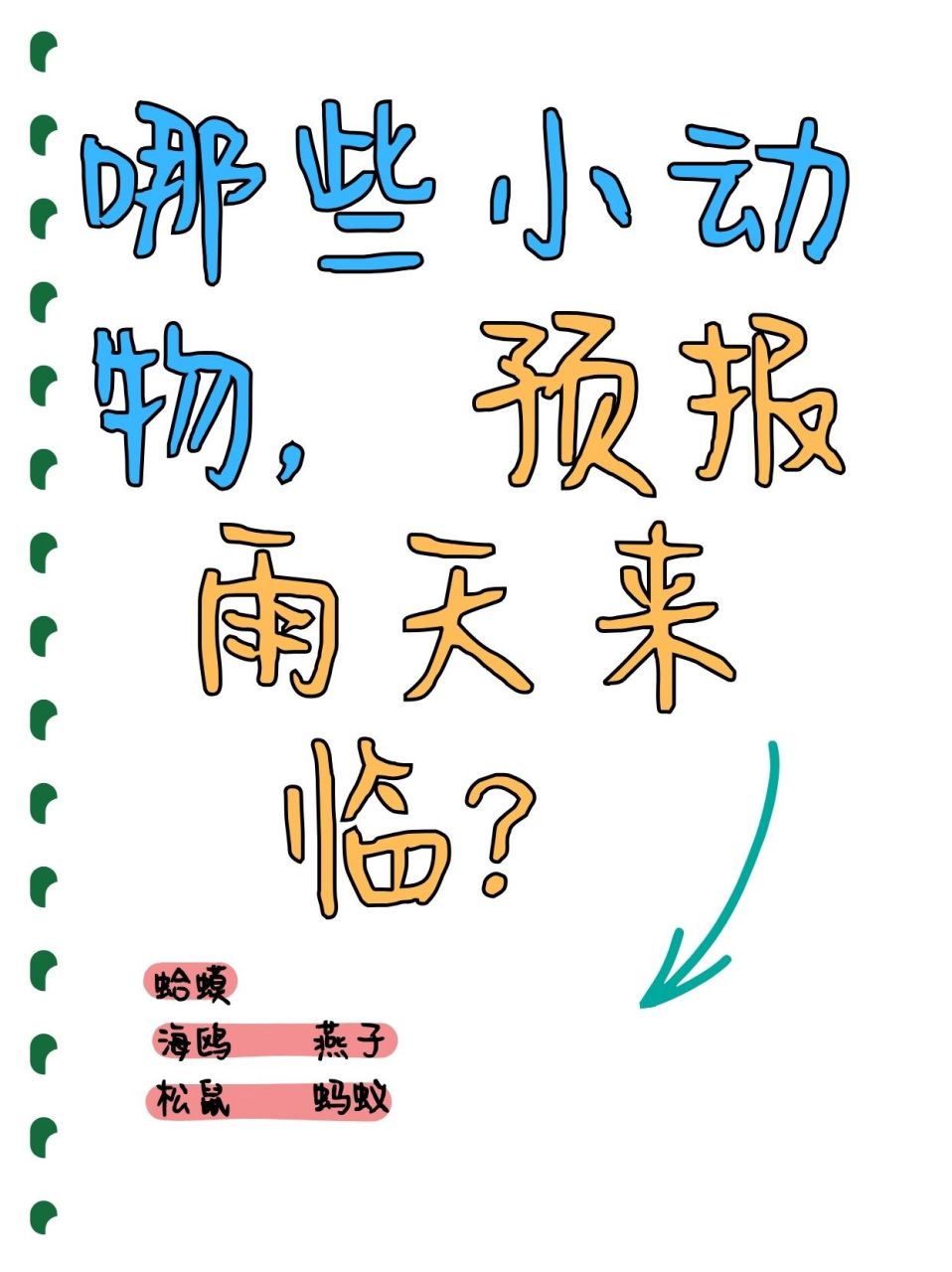 哪些小动物能预知下雨图片