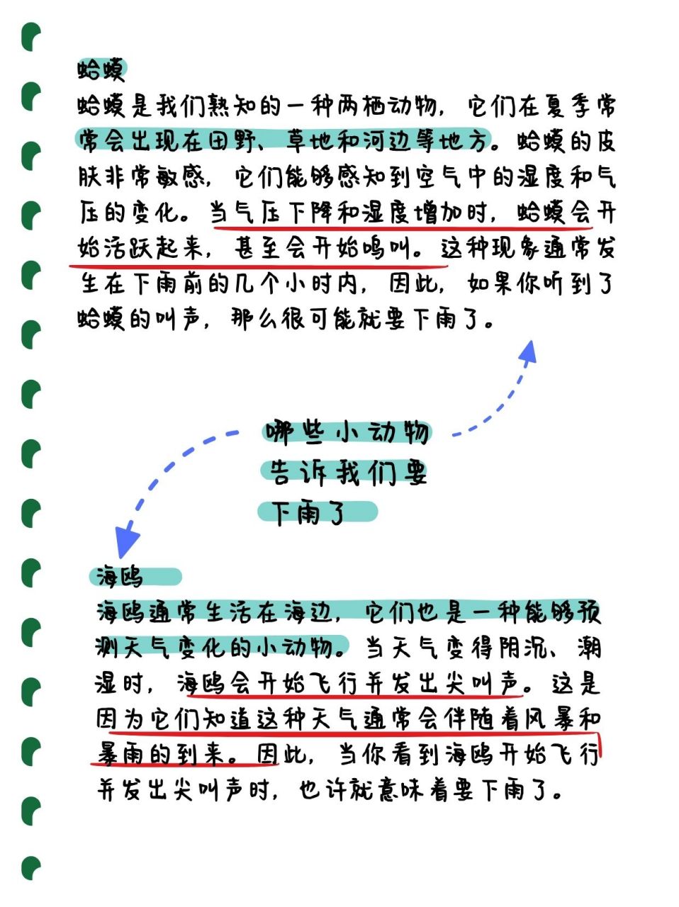 哪些小动物能预知下雨图片