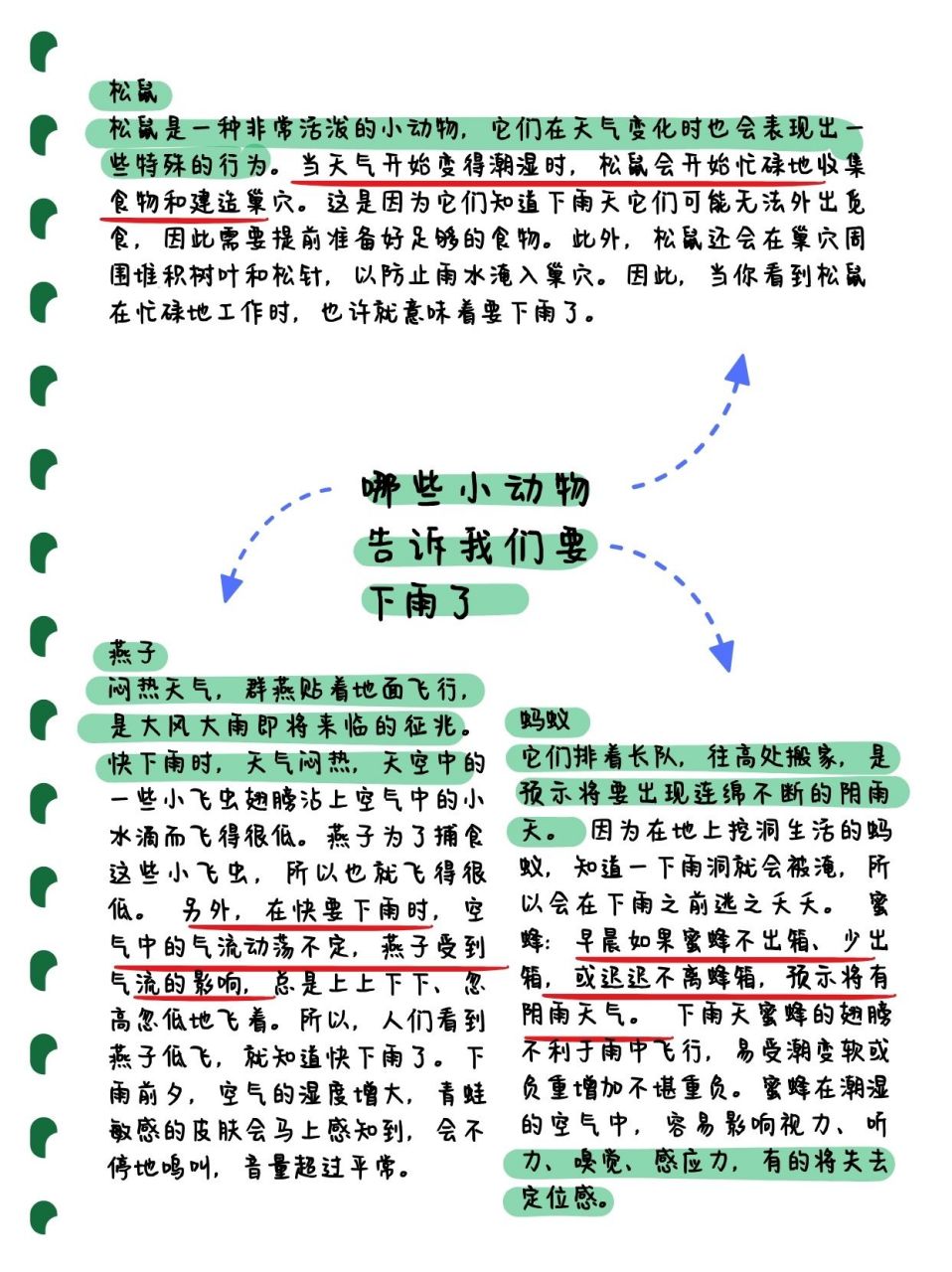 哪些小动物能预知下雨图片