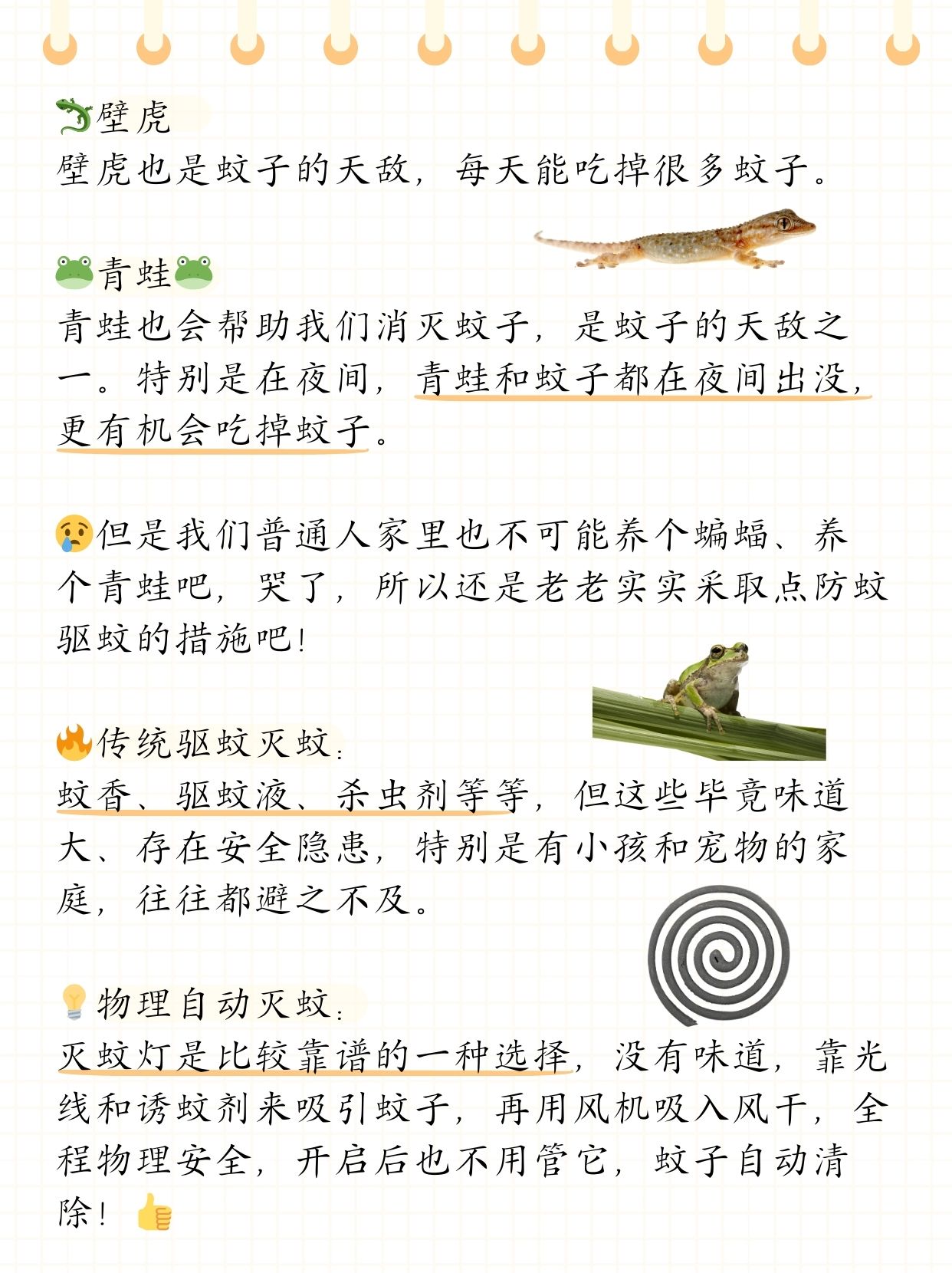 最出众的还是以下几个: 蝙蝠 一只蝙蝠每晚可以吃3000只蚊子,可以说是