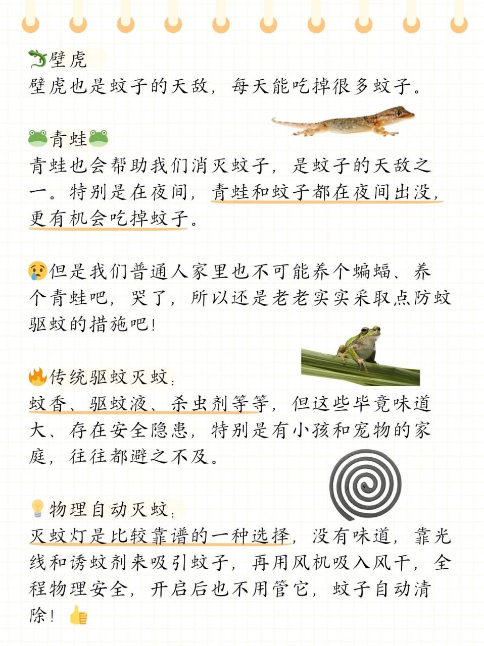 最出众的还是以下几个: 09蝙蝠09 一只蝙蝠每晚可以吃3000只蚊子