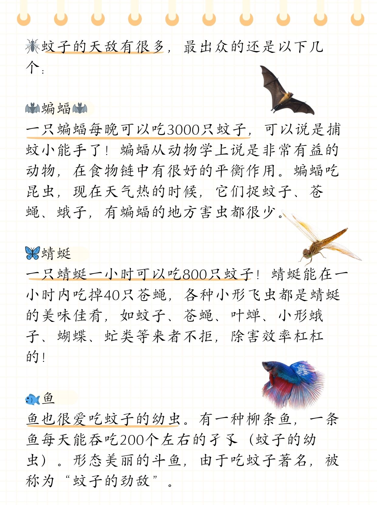 最出众的还是以下几个: 蝙蝠 一只蝙蝠每晚可以吃3000只蚊子,可以说是