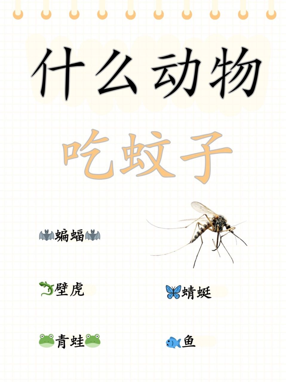 最出众的还是以下几个: 09蝙蝠09 一只蝙蝠每晚可以吃3000只蚊子