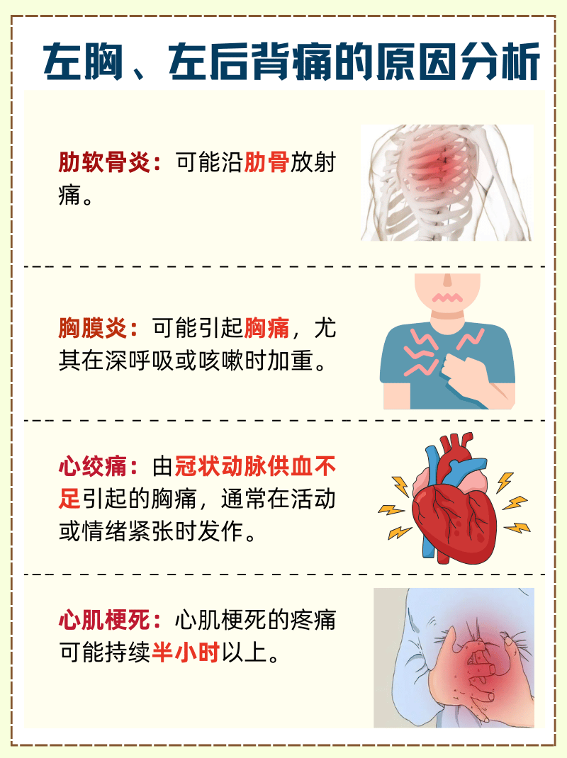 胸椎的骨性标志图片