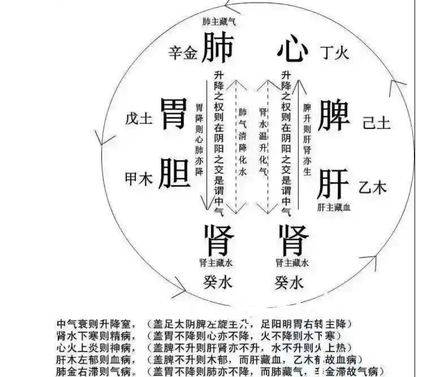 深秋的一个午后,我翻开了那本尘封已久的《圆运动的古中医学》.