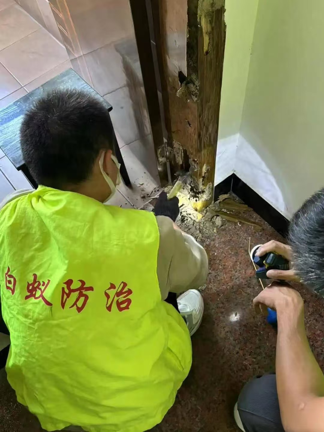 苏州吴江区白蚁防治中心