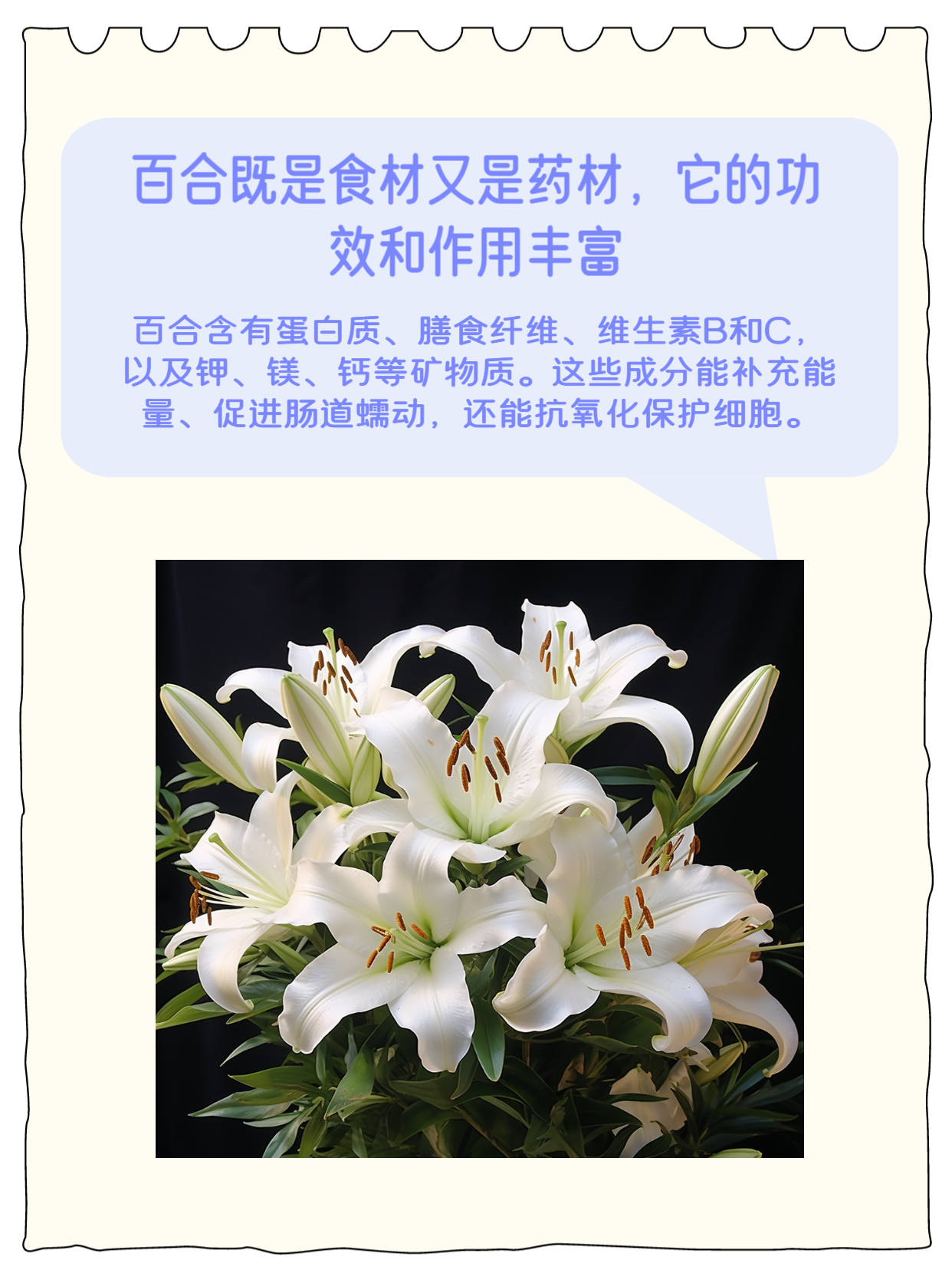 试试百合这种药材!