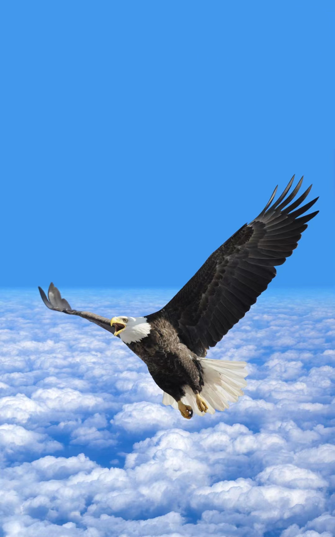 当我忧郁又无人相伴 不见大地海洋和晴空 灵魂就自