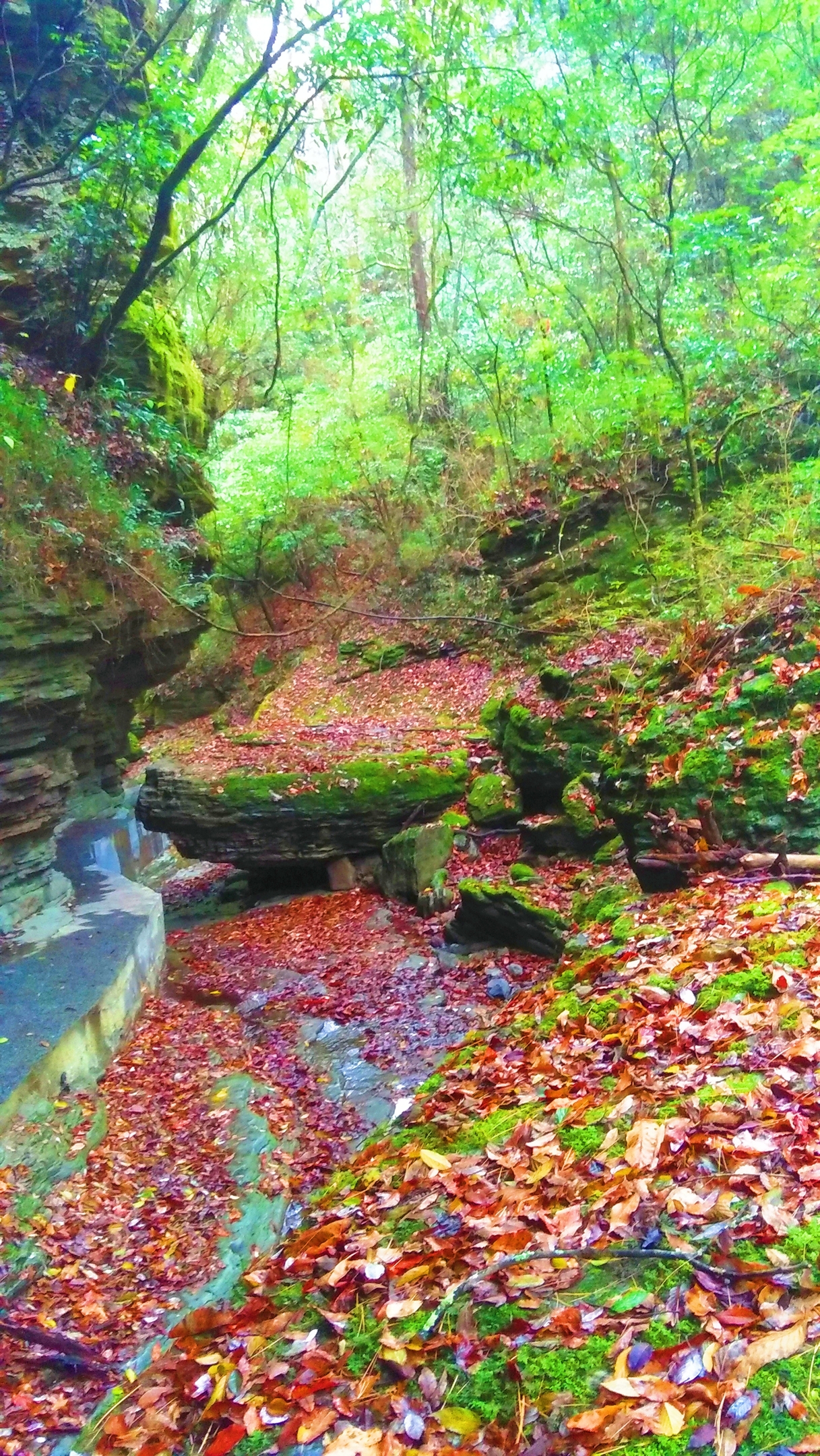 幽青秀峨逊武岳华峰降