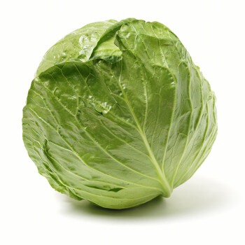 圆白菜:最完美的蔬菜  圆白菜真的超级棒!