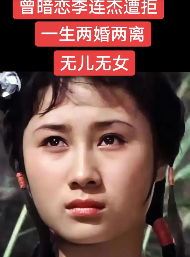 丁岚,1964年出生在河南郑州,她的"牧羊女"形象清秀淳朴,在八十年代初