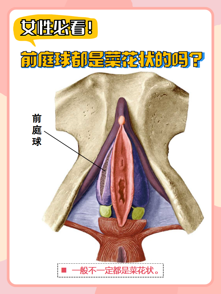 前庭球都是菜花状的吗?