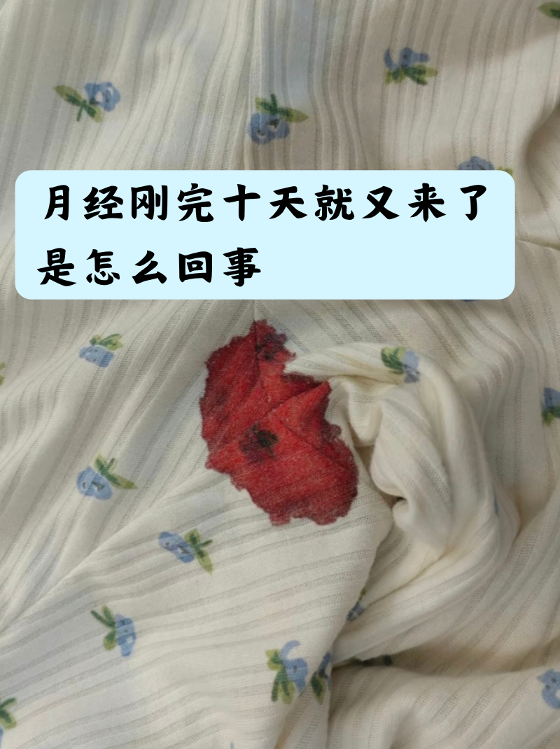 月经刚完十天就又来了是怎么回事