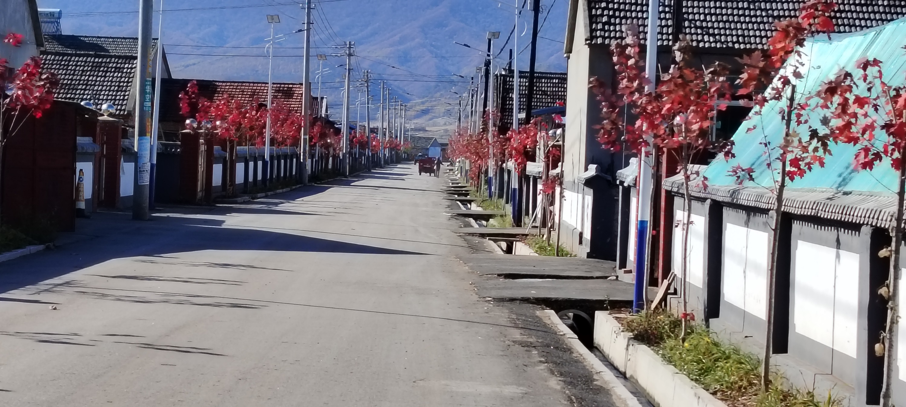 抚顺平顶山村图片