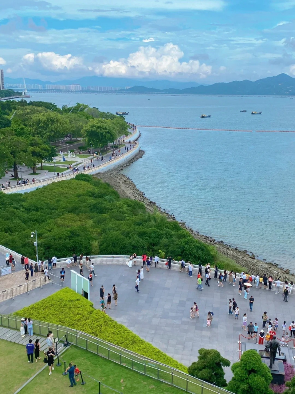 深圳夜景最漂亮的地方丨带你领略璀璨之城✨深圳湾公园:在这里,你