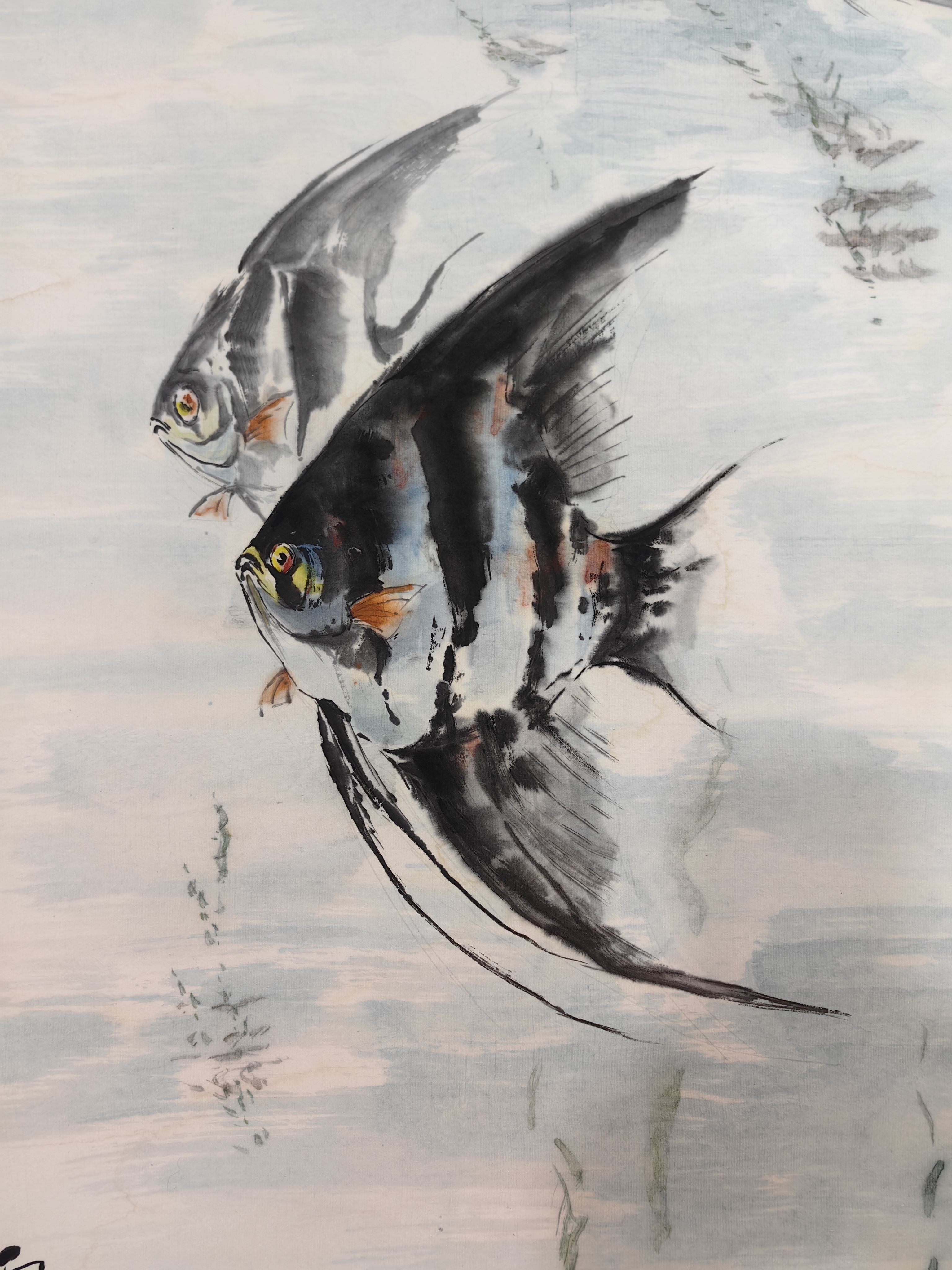 胡玉德老师创作国画《天使鱼》,细腻温婉,笔触精湛,天使鱼灵动雅致