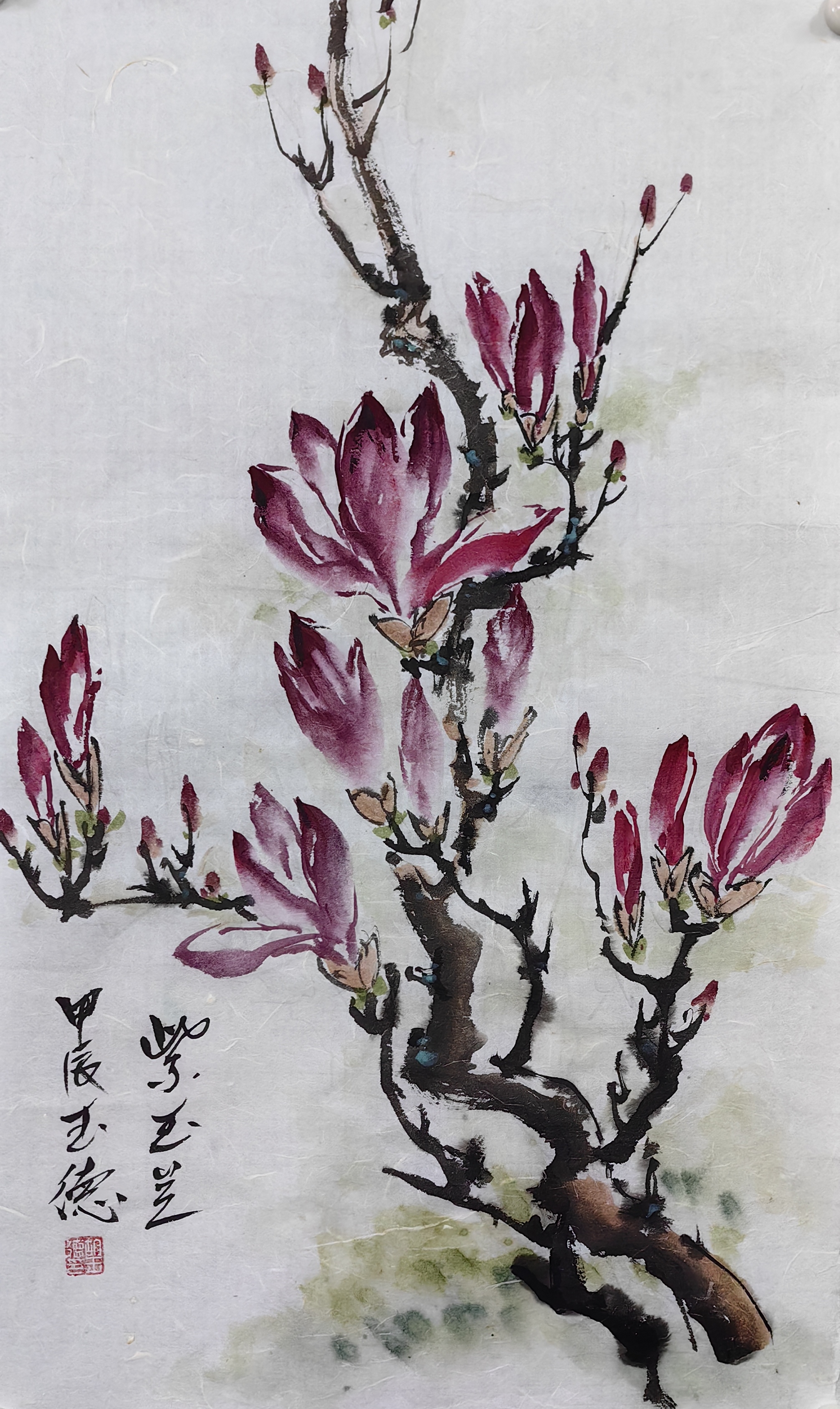 既有着对自然之美的无限热爱,又有着对玉兰花国画国画玉兰花作品欣赏