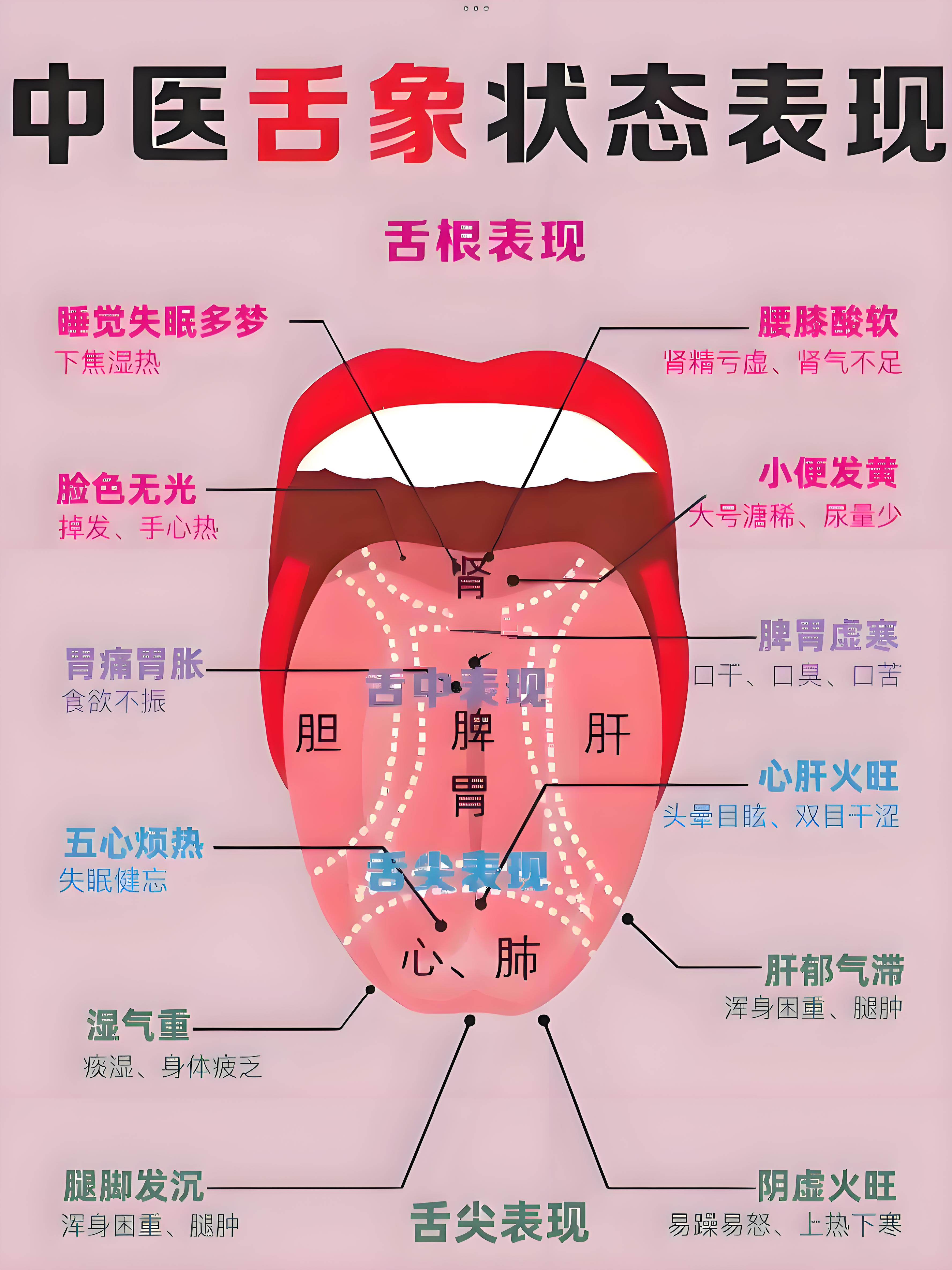 胃的反射区在哪里图片图片