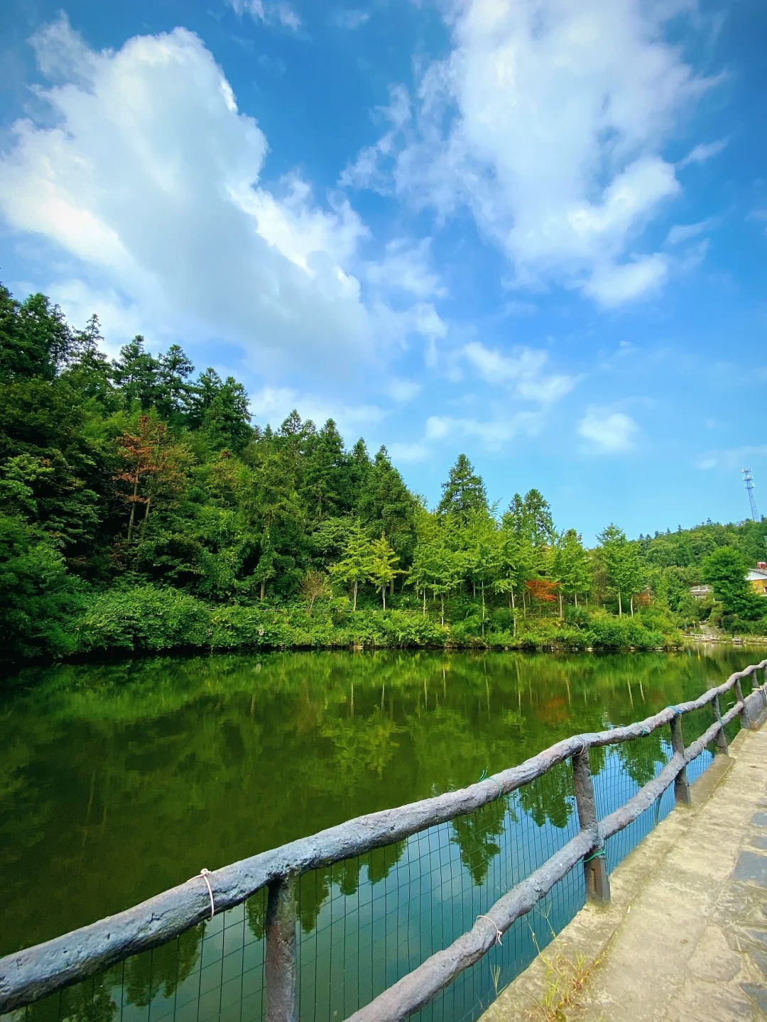 湛江北极村图片