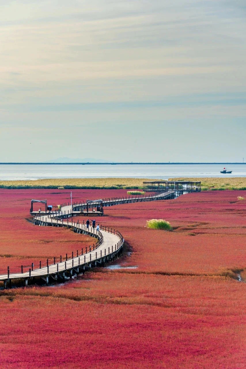 红海滩,位于辽宁省盘锦市大洼区赵圈河镇,有保存完好,规模大的红海滩