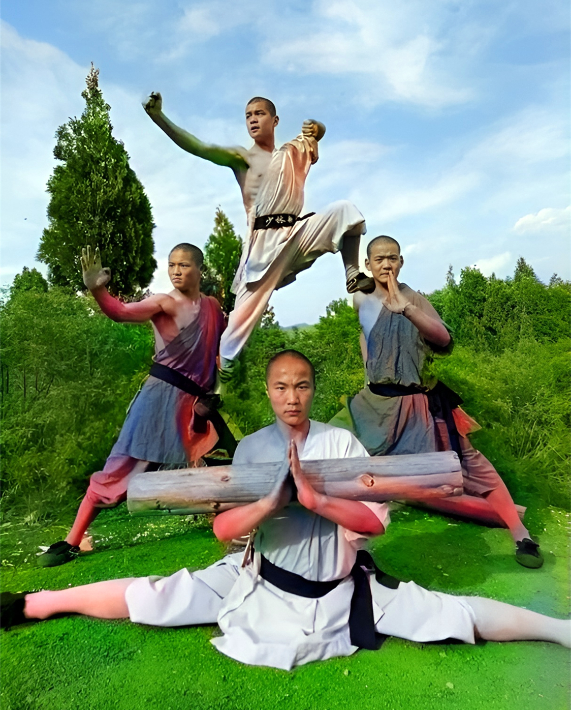 他,五岁出家,二十五岁成少林绝学唯一传人,为保少