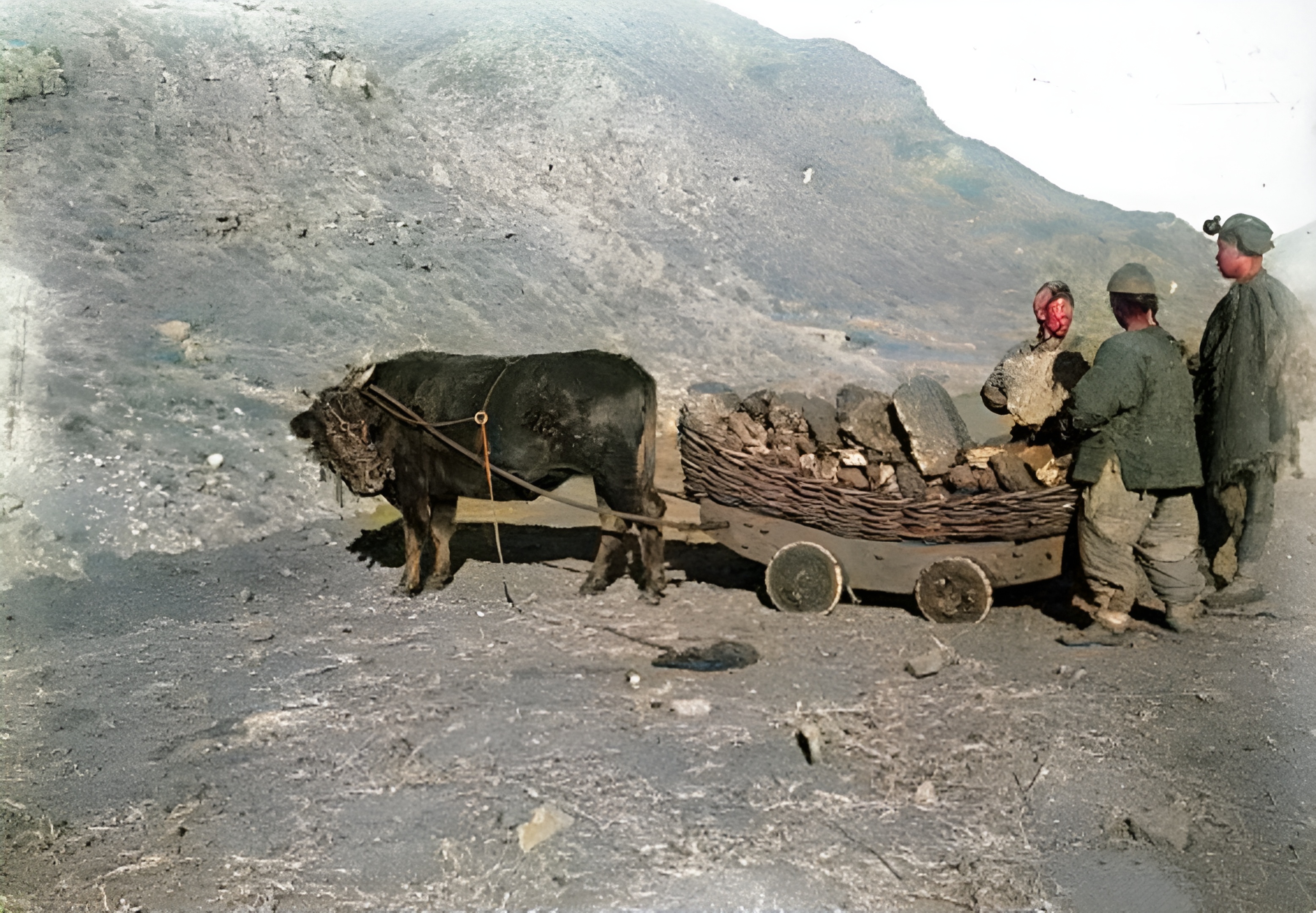 即使上了年纪的老人也没有见过这样的牛车