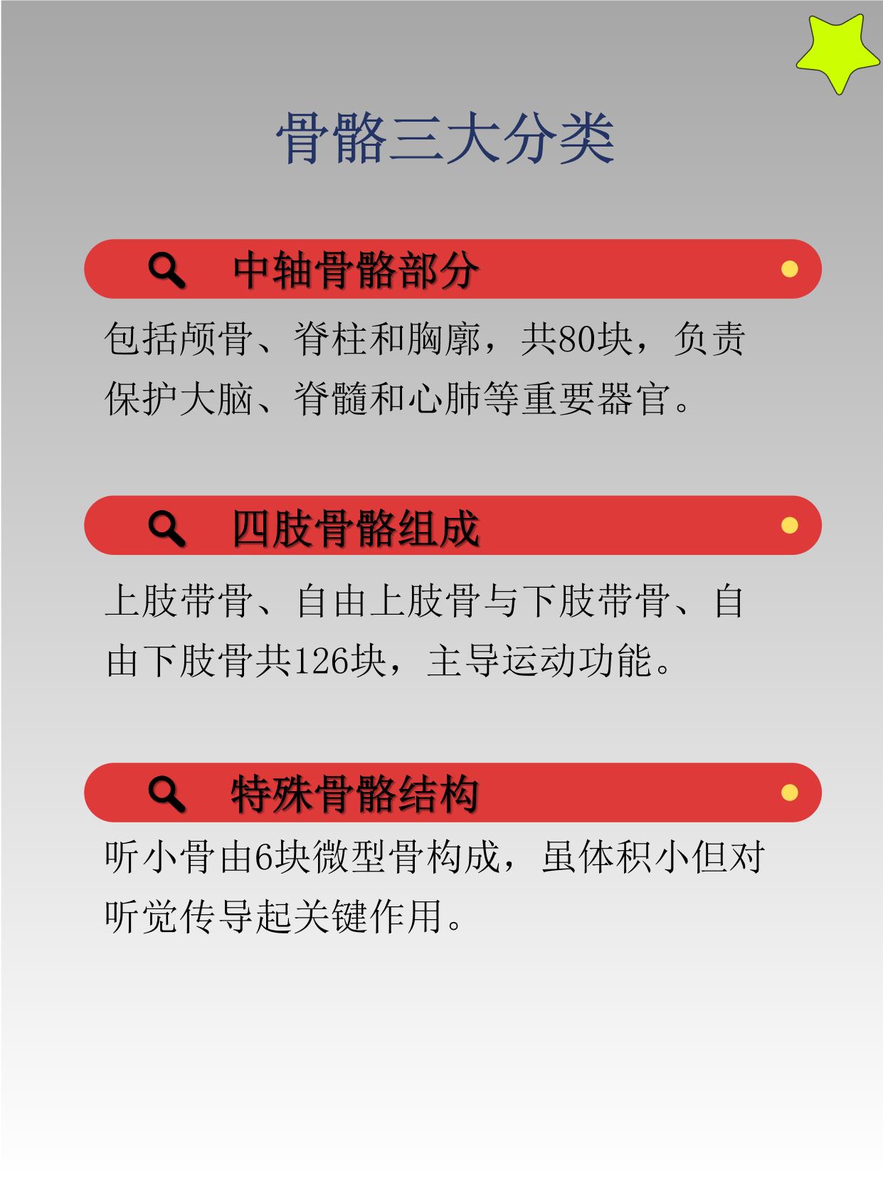 今天我们就来聊聊这个藏在皮肤下的钢铁侠战衣究竟由多少块骨头组成