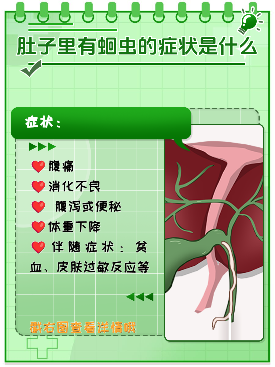 怎么判断大人肚子有虫图片