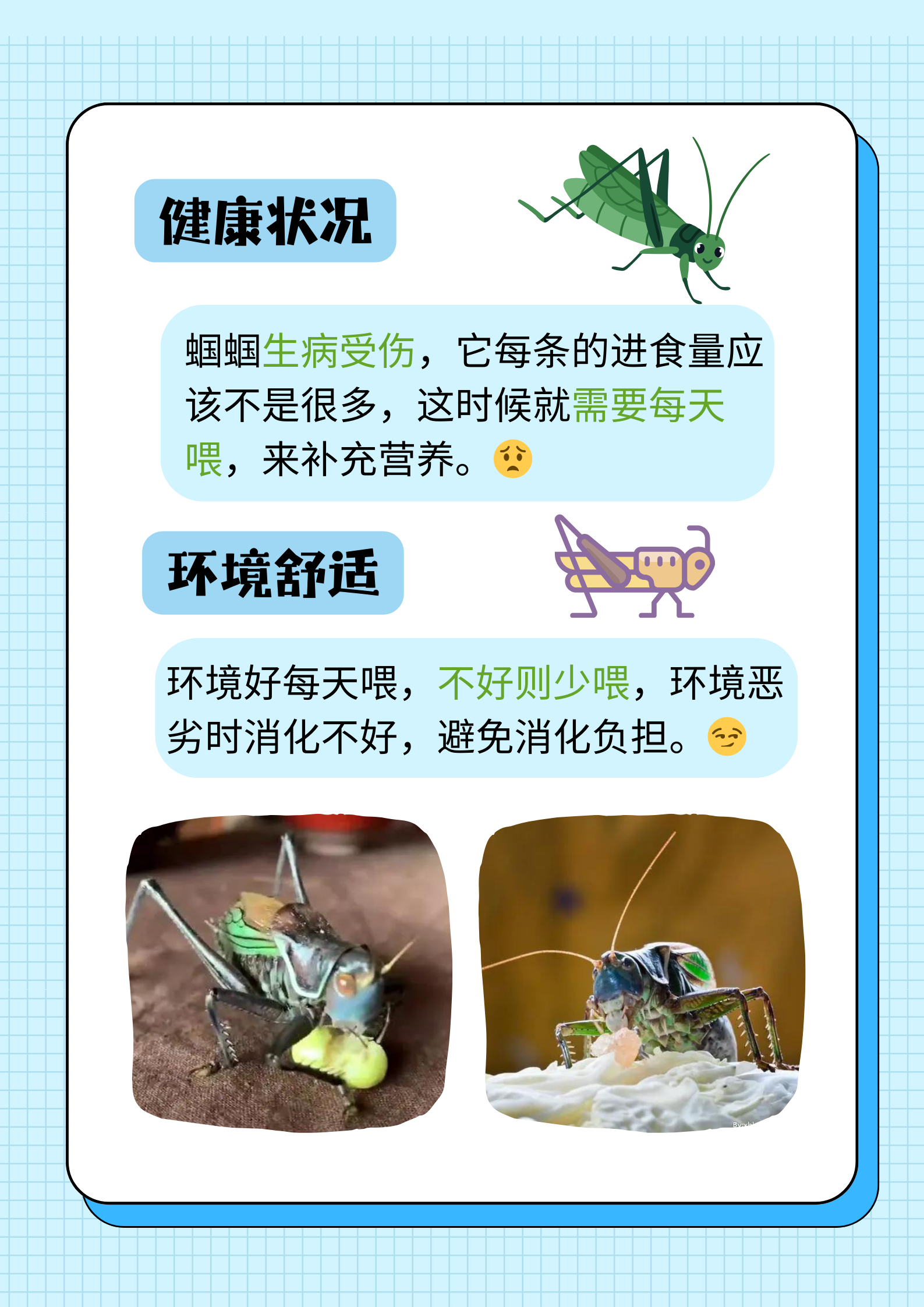 幼年蝈蝈正处于快速生长发育的阶段,对营